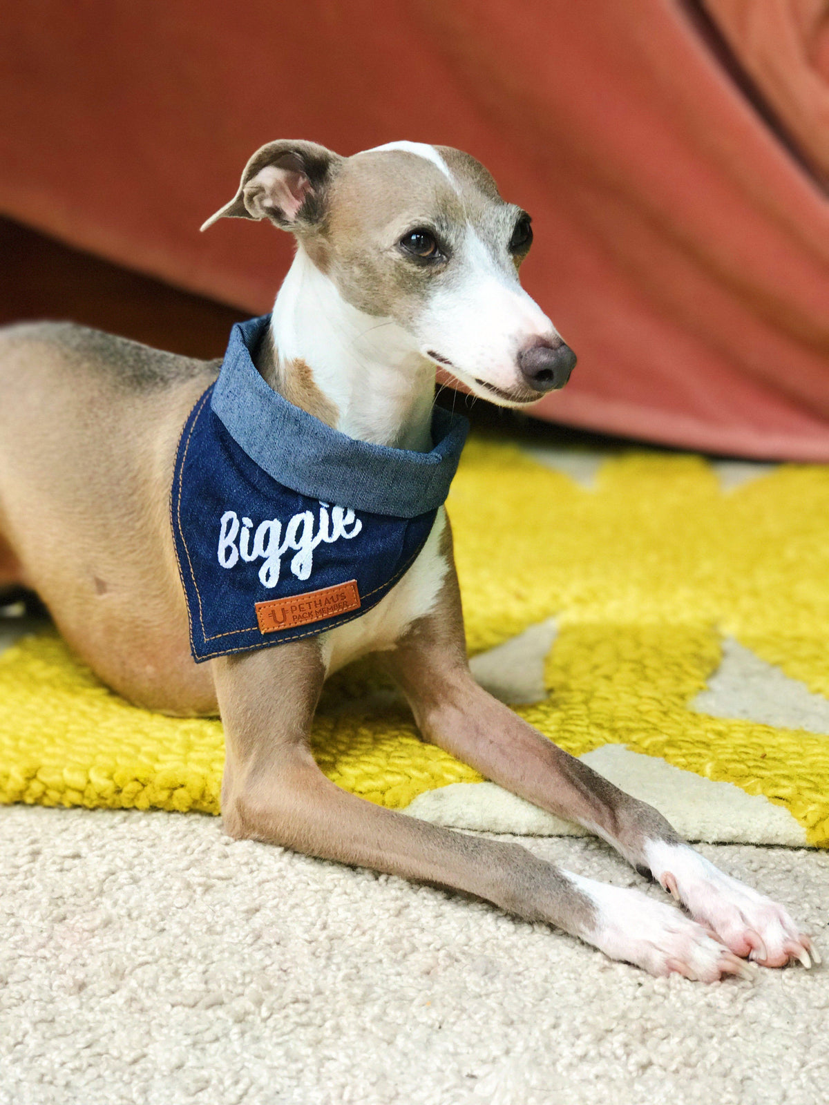 personalisepersonalised dog bandana, denim dog bandana, custom dog bandana, australian dog bandana, designer dog bandana, cool dog bandana, pethausd embroidered name dog bandana