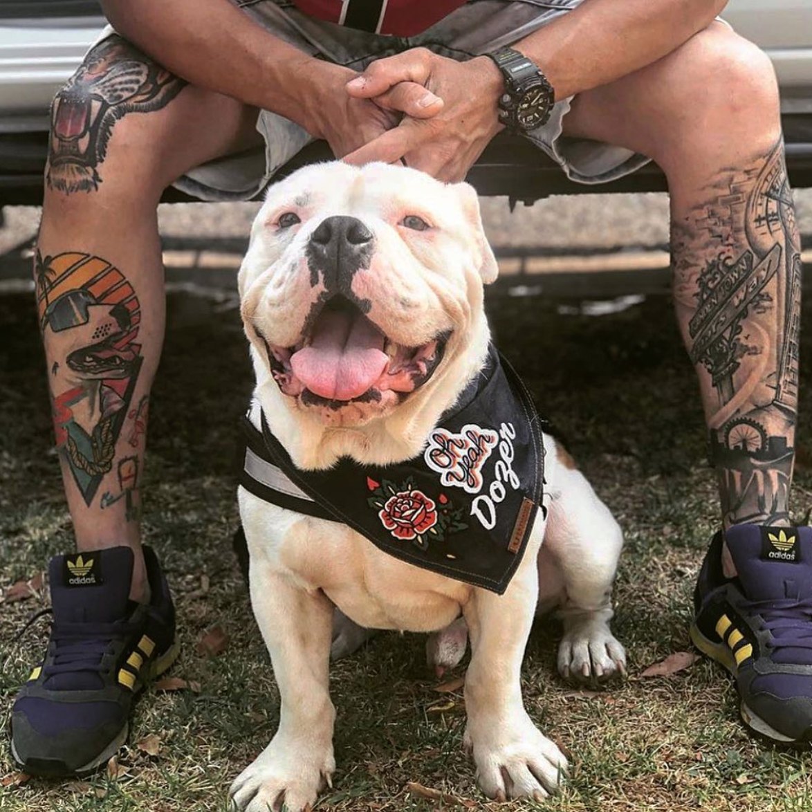 Personalised Dog Bandana Denim