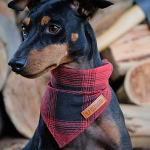 red check dog bandana, Pethaus, plaid dog bandana, flannel dog bandana, australia dog bandana,cool dog bandana