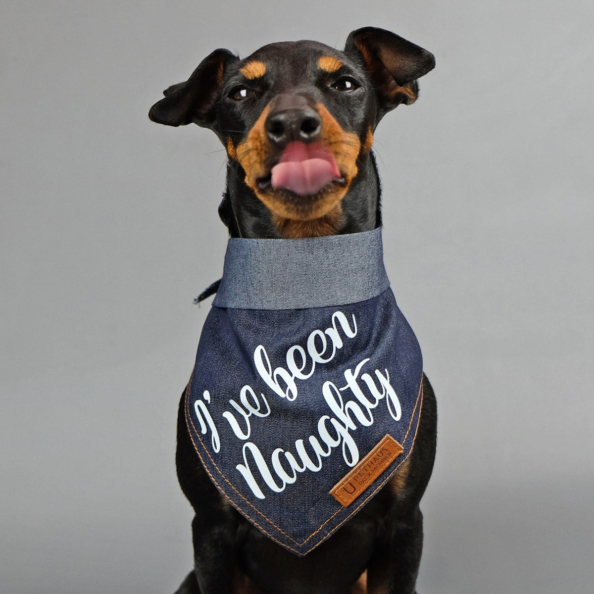 Christmas dog bandana, dog gift, I've been naughty dog bandana, pethaus, cool dog gift, English toy terrier