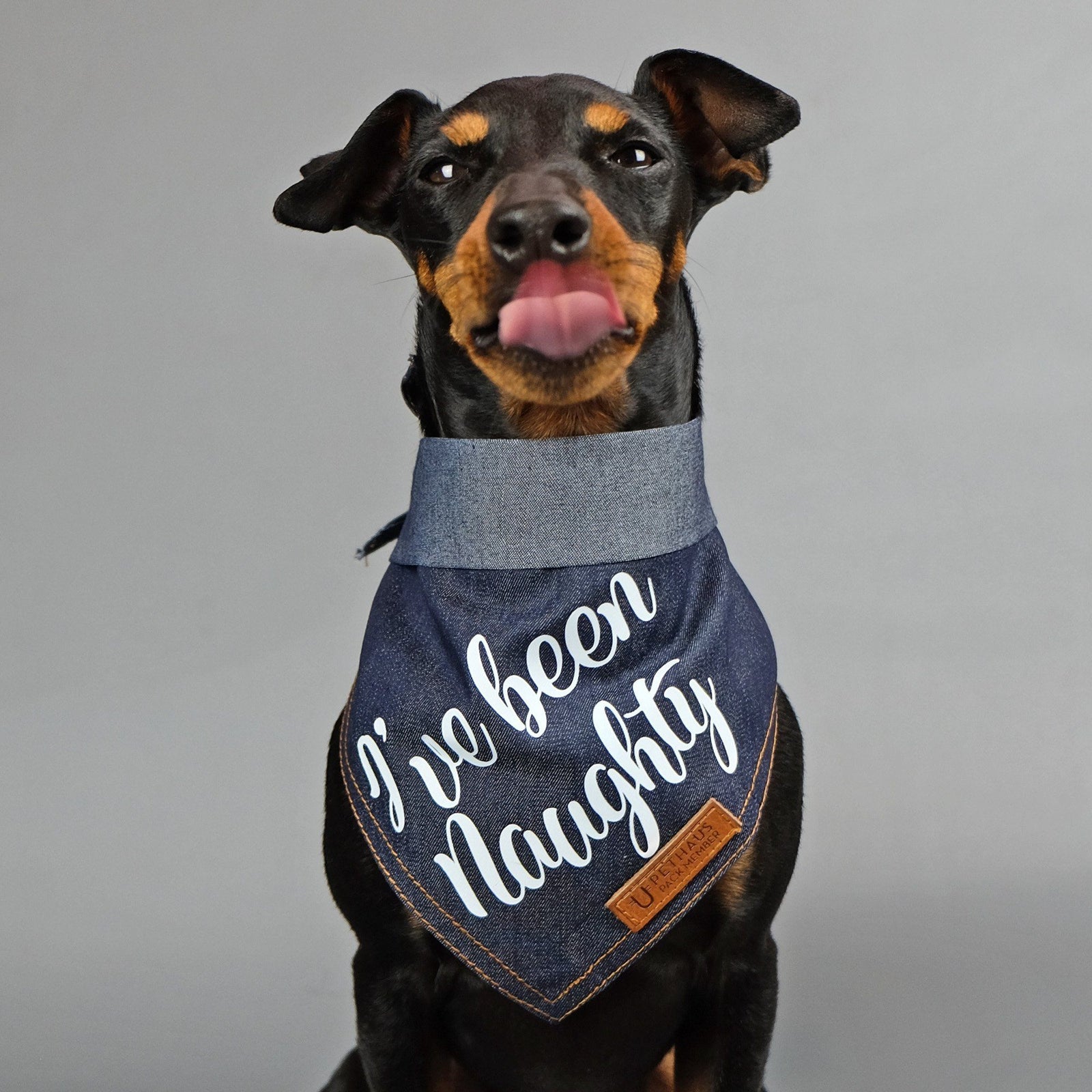 Christmas dog bandana, dog gift, I've been naughty dog bandana, pethaus, cool dog gift, 