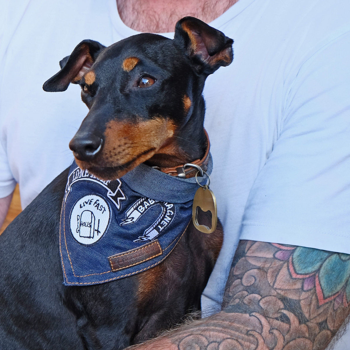 Denim Dog Bandana by Pethaus