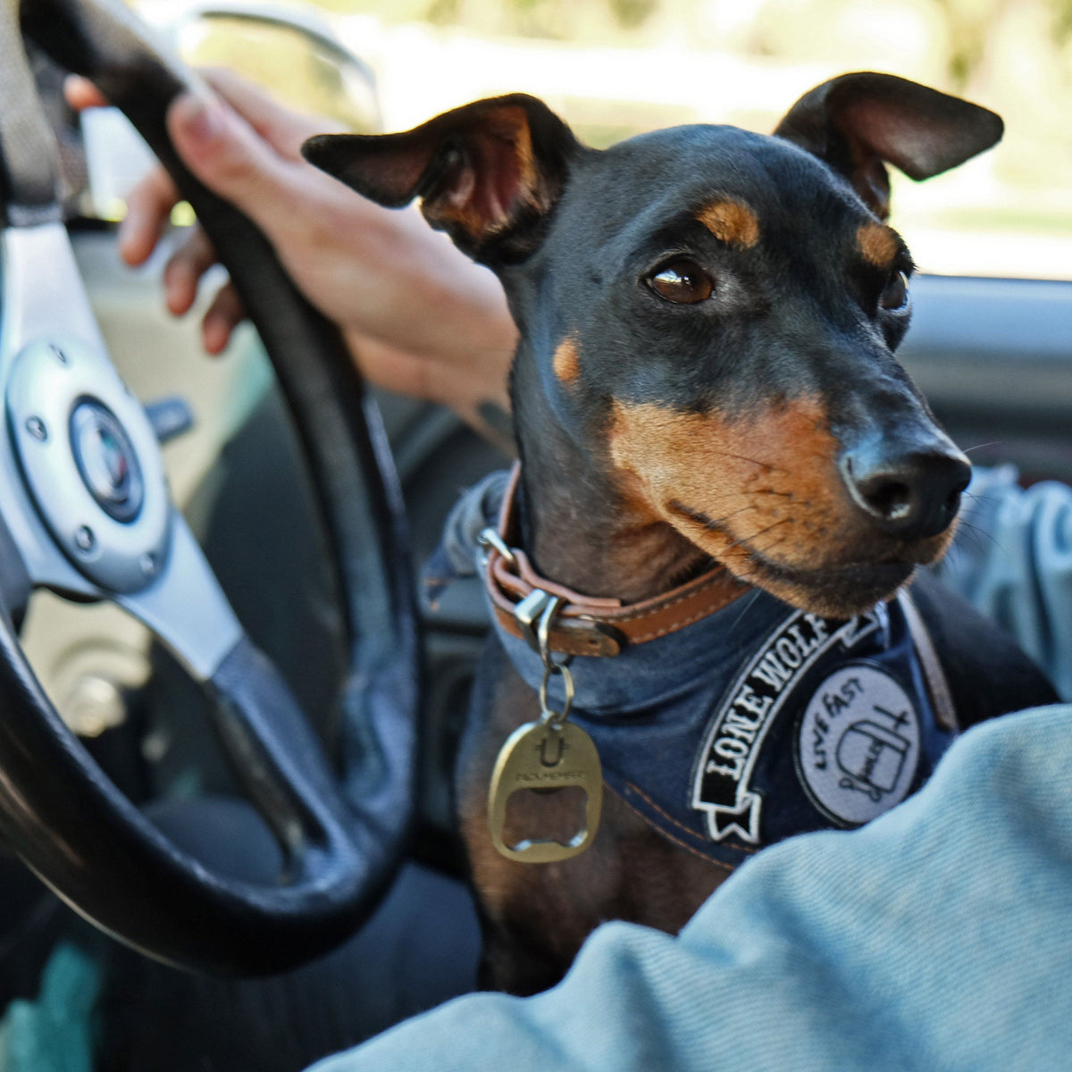 Designer denim dog bandana by Pethaus