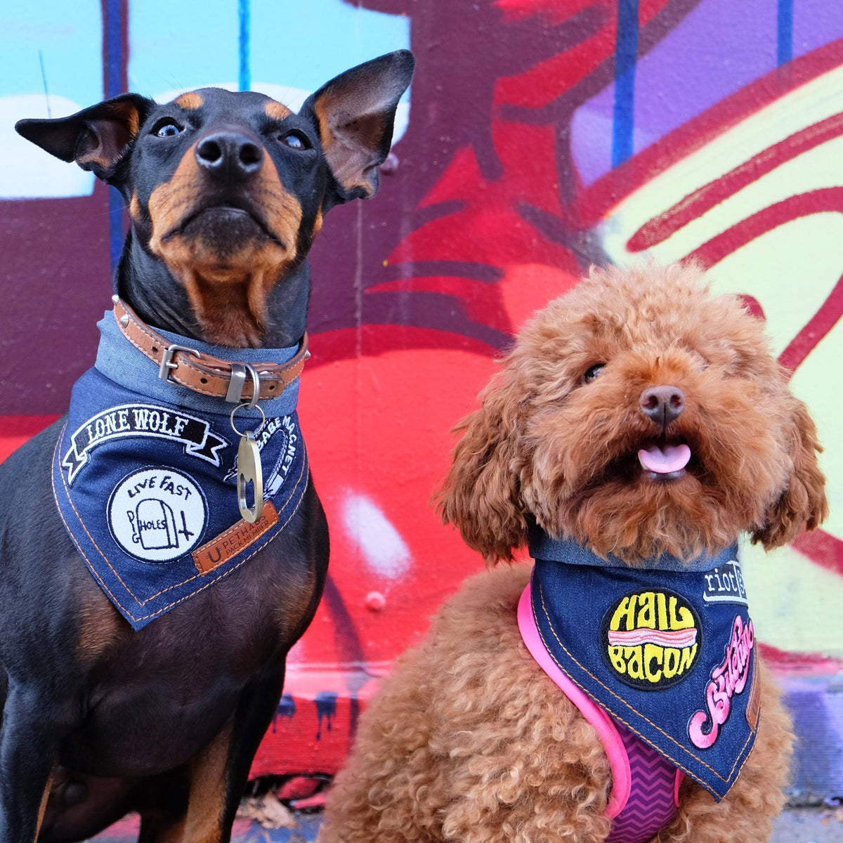 Denim Dog Bandana Pethaus