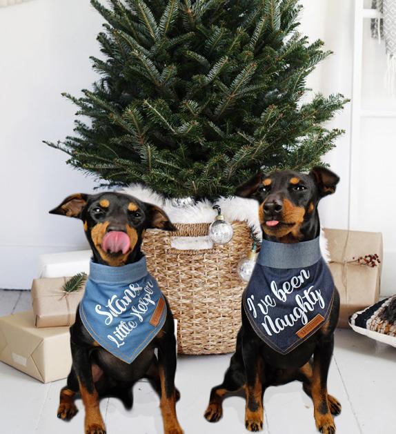 Christmas dog bandana, dog gift, Satans little helper dog bandana, pethaus, cool dog gift, English Toy Terrier