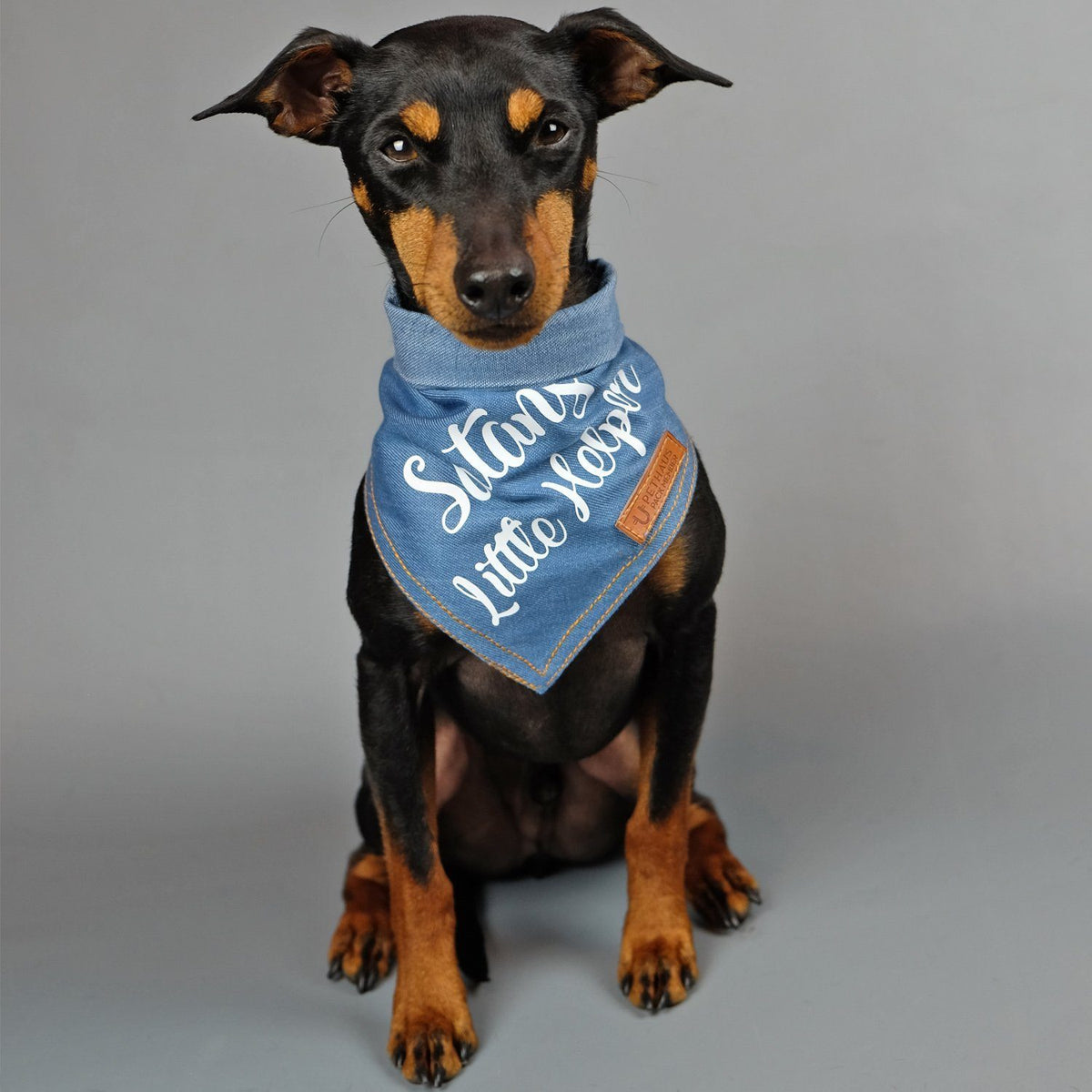 Christmas dog bandana, dog gift, Satans little helper dog bandana, pethaus, cool dog gift, English Toy Terrier