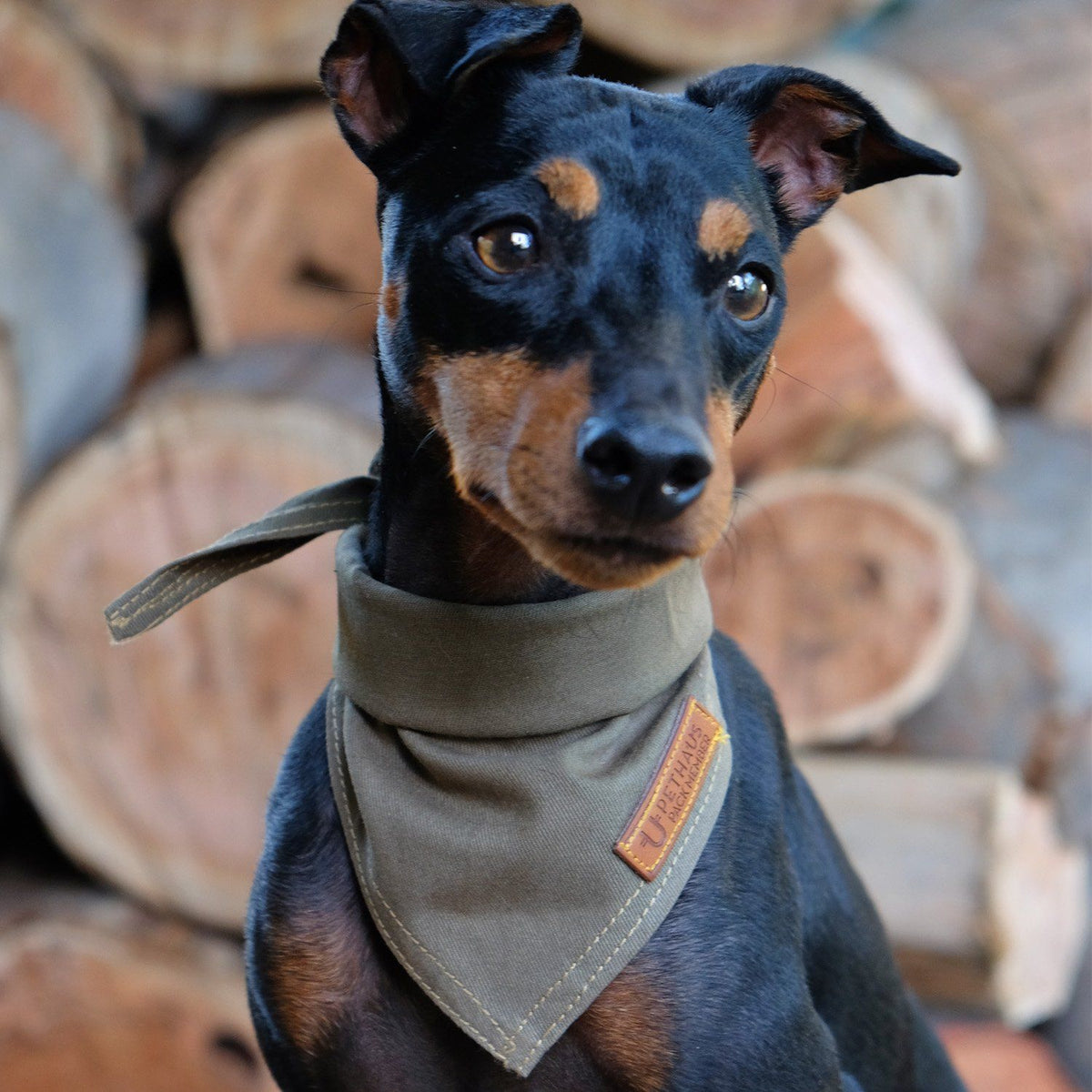 SCOUT ARMY GREEN DOG BANDANA made in Australia PetHaus