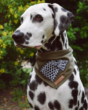 Army green dog bandana, khaki dog bandana, dog bandana with patches, dog patches, service dog