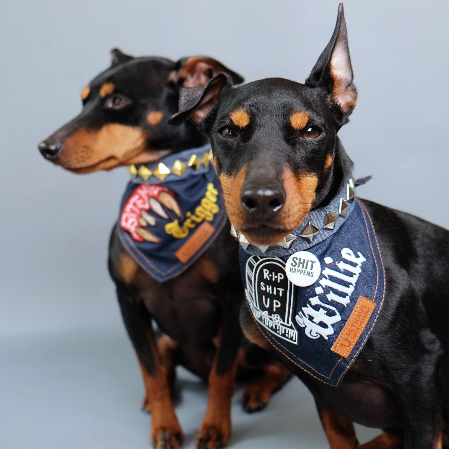 Denim Dog Bandana, Dog Bandana Studs, Custom dog bandana, Dog bandana Patches, Pethaus