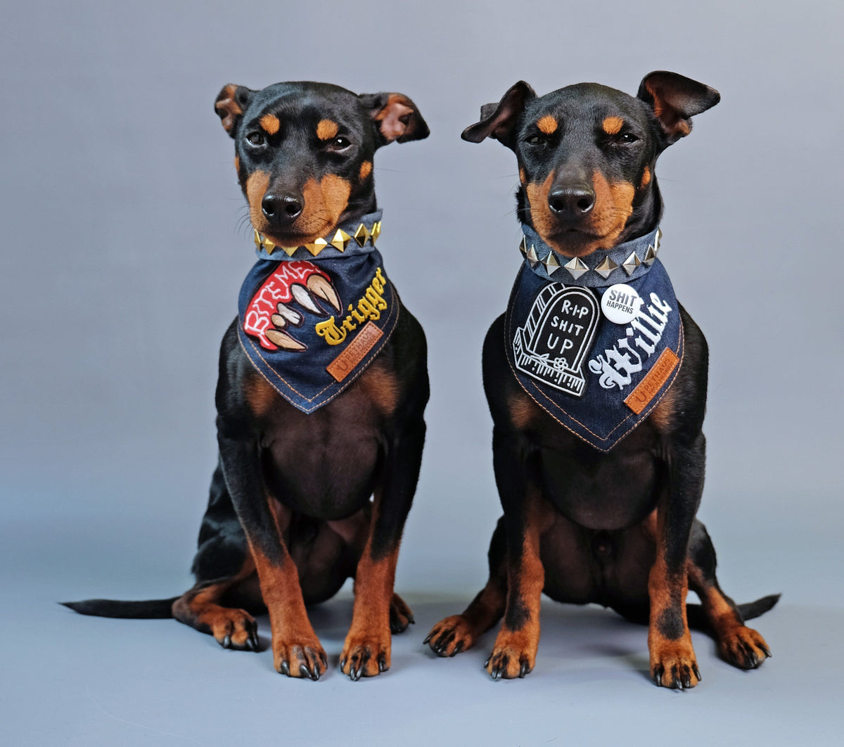 Denim Dog Bandana, Dog Bandana Studs, Custom dog bandana, Dog bandana Patches, Pethaus