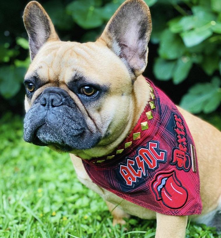 Red check dog bandana, flannel dog bandana, lumber jack dog bandana, check dog bandana, rock dog bandana, dog gift, hipster dog bandana 