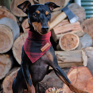 Red check dog bandana, flannel dog bandana, lumber jack dog bandana, check dog bandana, dog gift, hipster dog bandana , english toy terrier