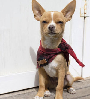 Red check dog bandana, flannel dog bandana, lumber jack dog bandana, check dog bandana, dog gift, hipster dog bandana 
