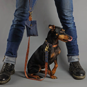 Denim dog collar, leopard print dog collar, quick release dog collar, nylon webbing dog collar, cool dog collar, Australian dog collar, pethaus, english toy terrier