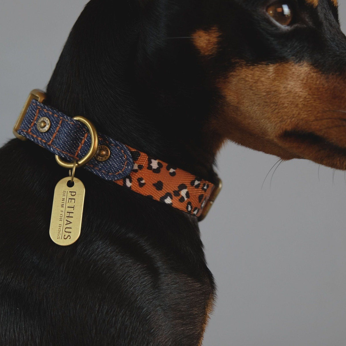 Denim dog collar, leopard print dog collar, quick release dog collar, nylon webbing dog collar, cool dog collar, Australian dog collar, pethaus, english toy terrier
