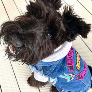 Denim dog coat with custom patches