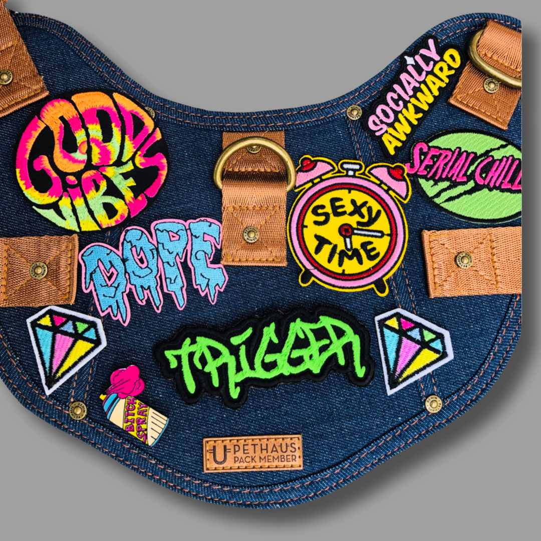 custom name patches, denim dog vest, grafitti style patch