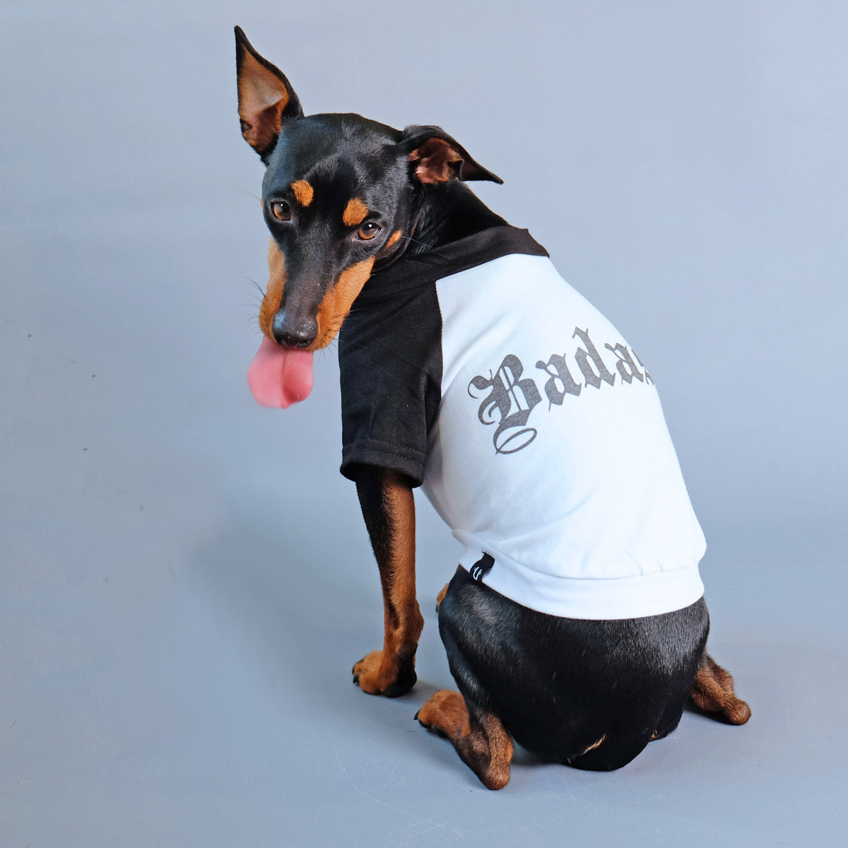 Dog tee, funny dog tee, raglan dog tee, badass dog tee, gift for dog, pethaus