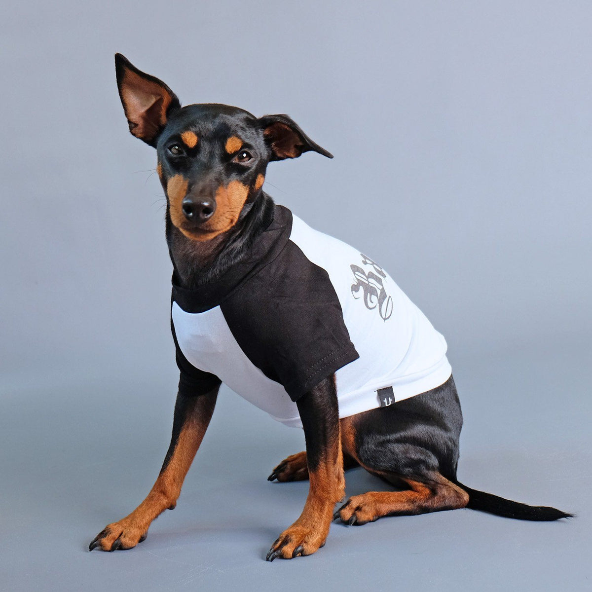 Dog tee, funny dog tee, raglan dog tee, badass dog tee, gift for dog, pethaus