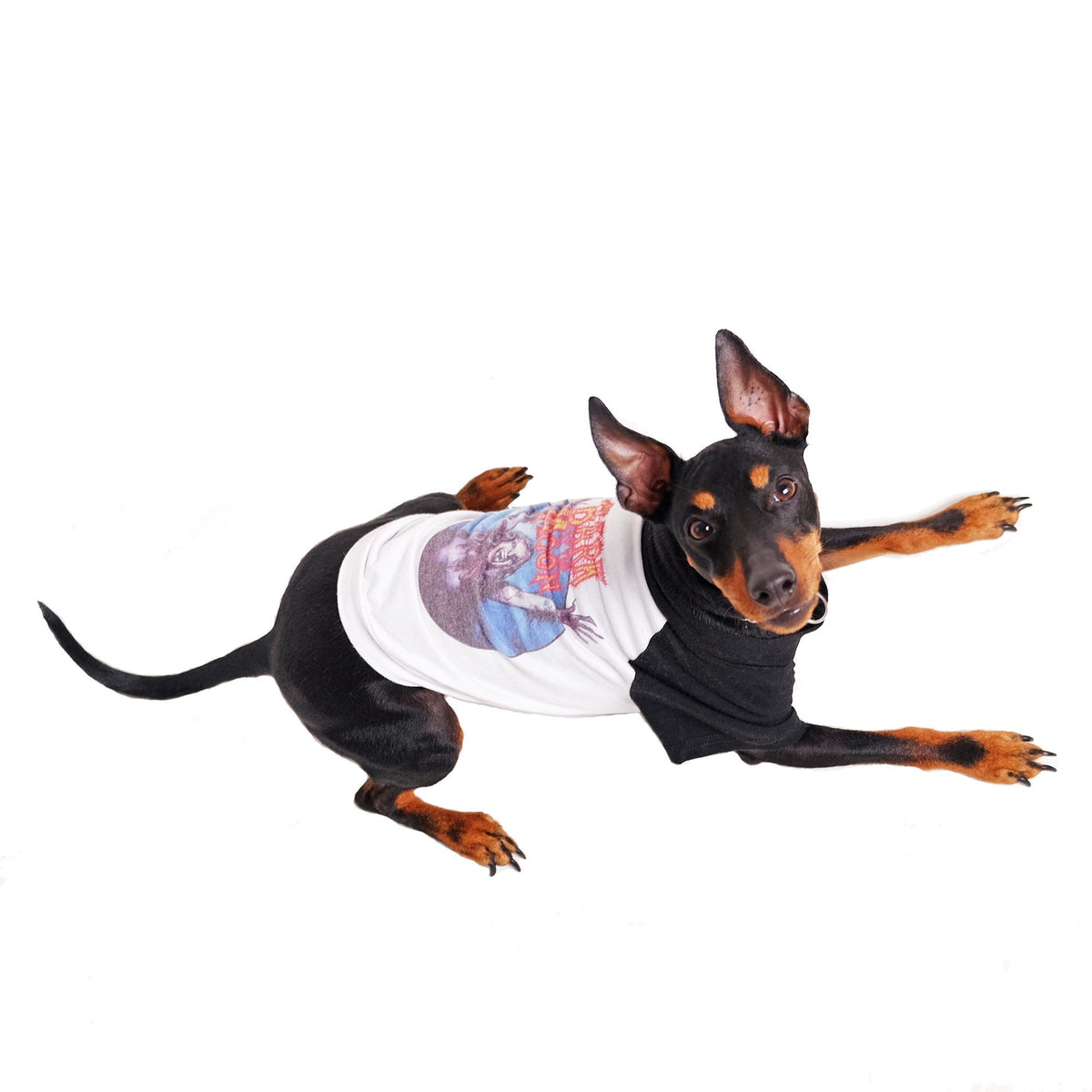 Raglan Dog Tee by Pethaus