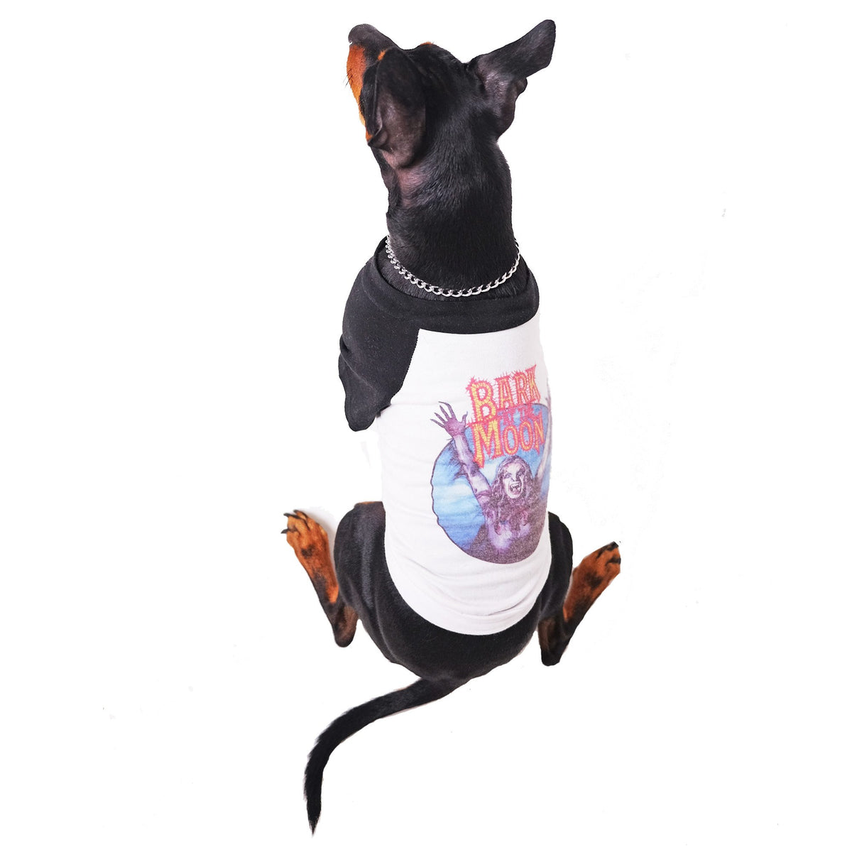 Raglan Dog Tee by Pethaus