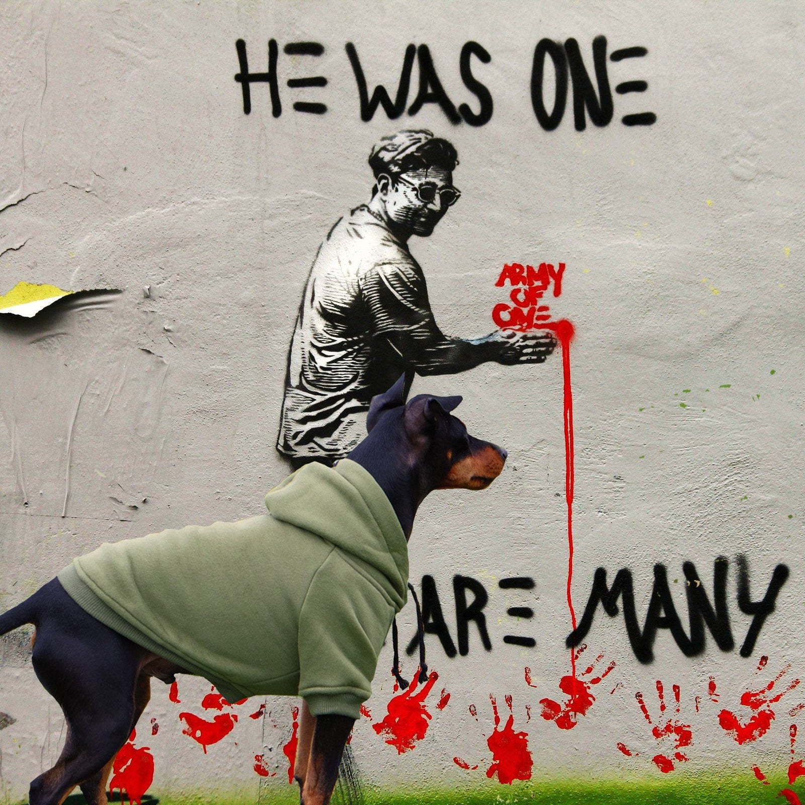 army green dog hoodie by Pethaus, green dog hoodie, army green dog hoodie, australia dog hoodie, pethaus