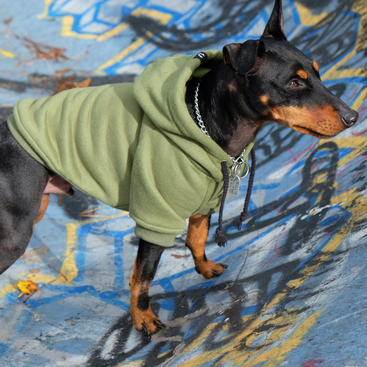 green dog hoodie by Pethaus,army green dog hoodie by Pethaus, green dog hoodie, army green dog hoodie, australia dog hoodie, pethaus
