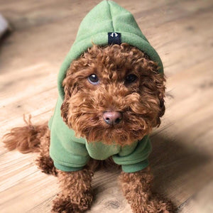 Khaki dog hoodie by Pethaus,army green dog hoodie by Pethaus, green dog hoodie, army green dog hoodie, australia dog hoodie, pethaus