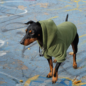 green dog hoodie by Pethaus