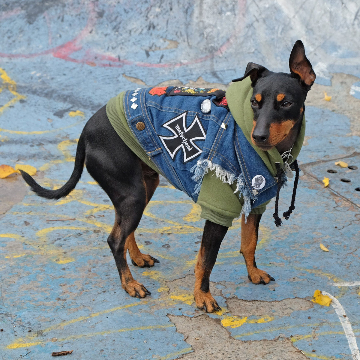 Heavy metal dog jacket by Pethaus