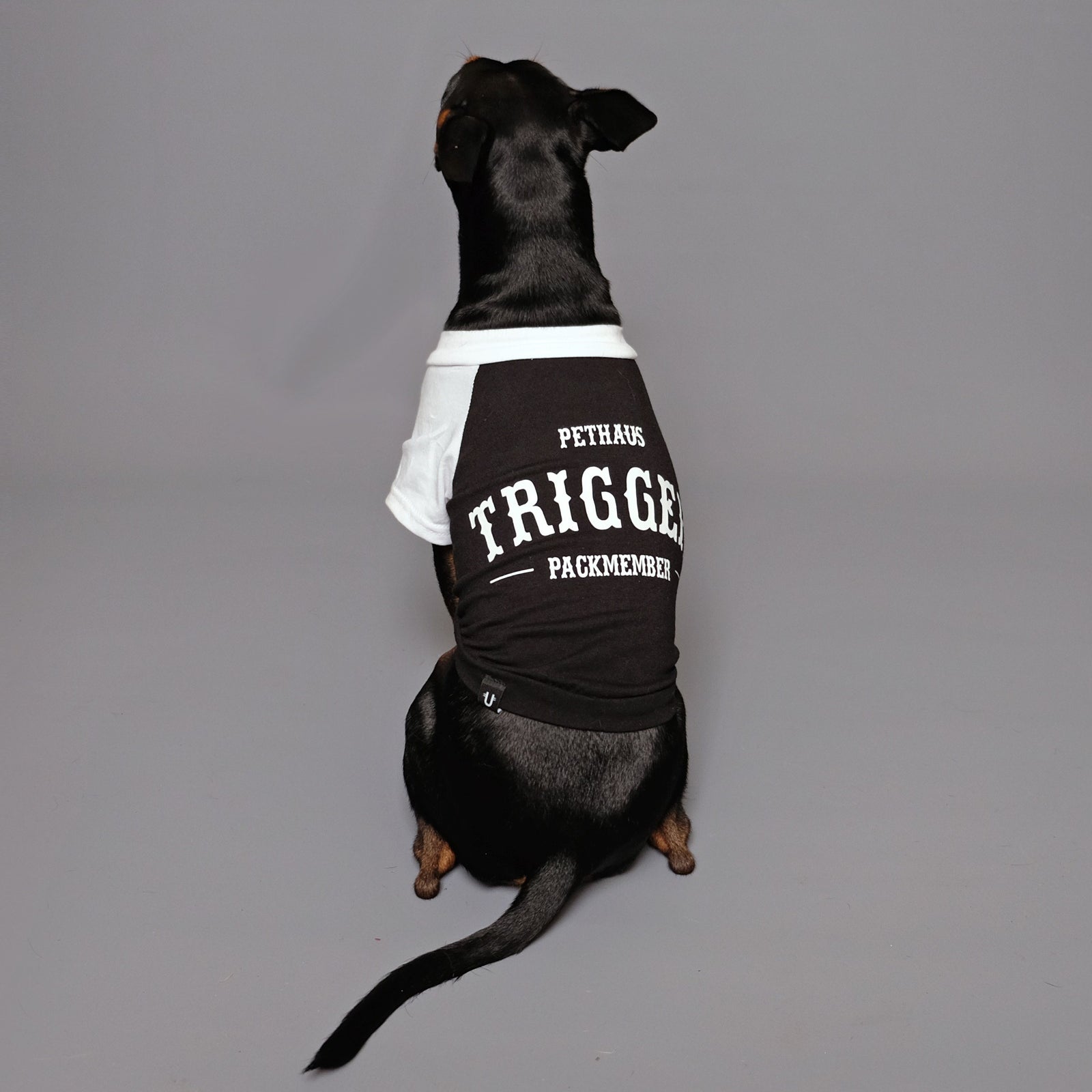Custom Biker Dog Tee - Black