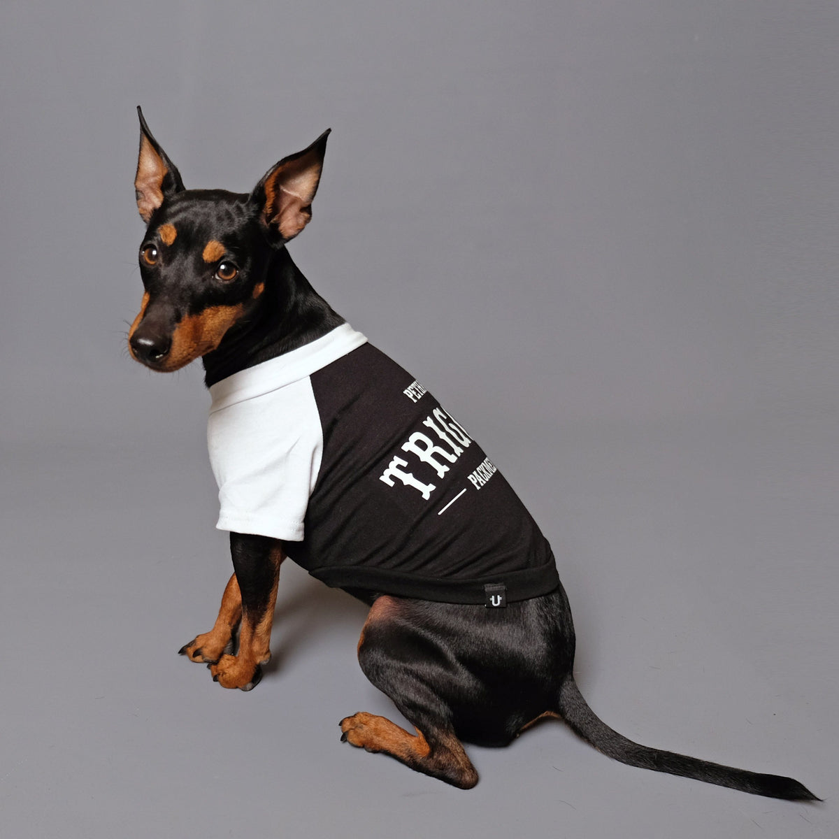 Custom Biker Dog Tee - Black