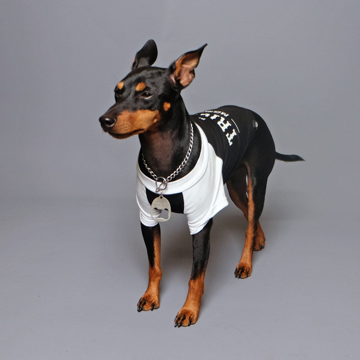 Custom Biker Dog Tee - Black