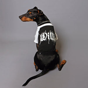 Metal tee for dog, custom dog tee, personalised dog tee, black metal dog tee, heavy metal dog tee, raglan dog tee, 