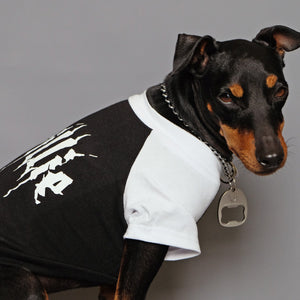 Metal tee for dog, custom dog tee, personalised dog tee, black metal dog tee, heavy metal dog tee, raglan dog tee, 