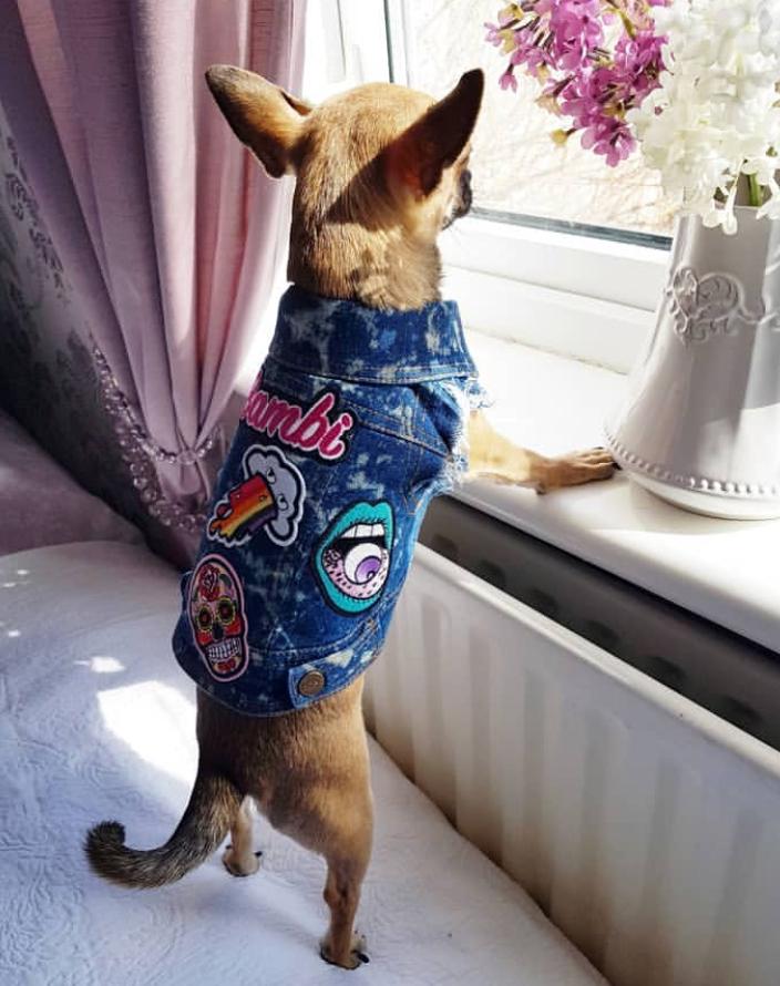 Denim dog jacket, denim dog vest, cool dog jacket, Splatter denim