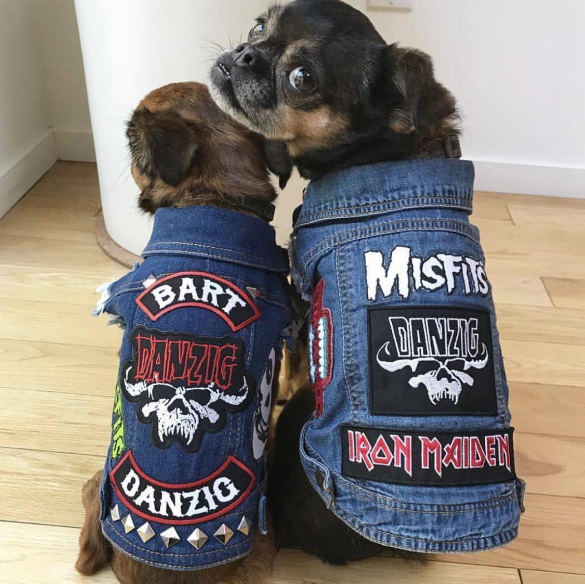 Custom Patched Dog Battle Jacket