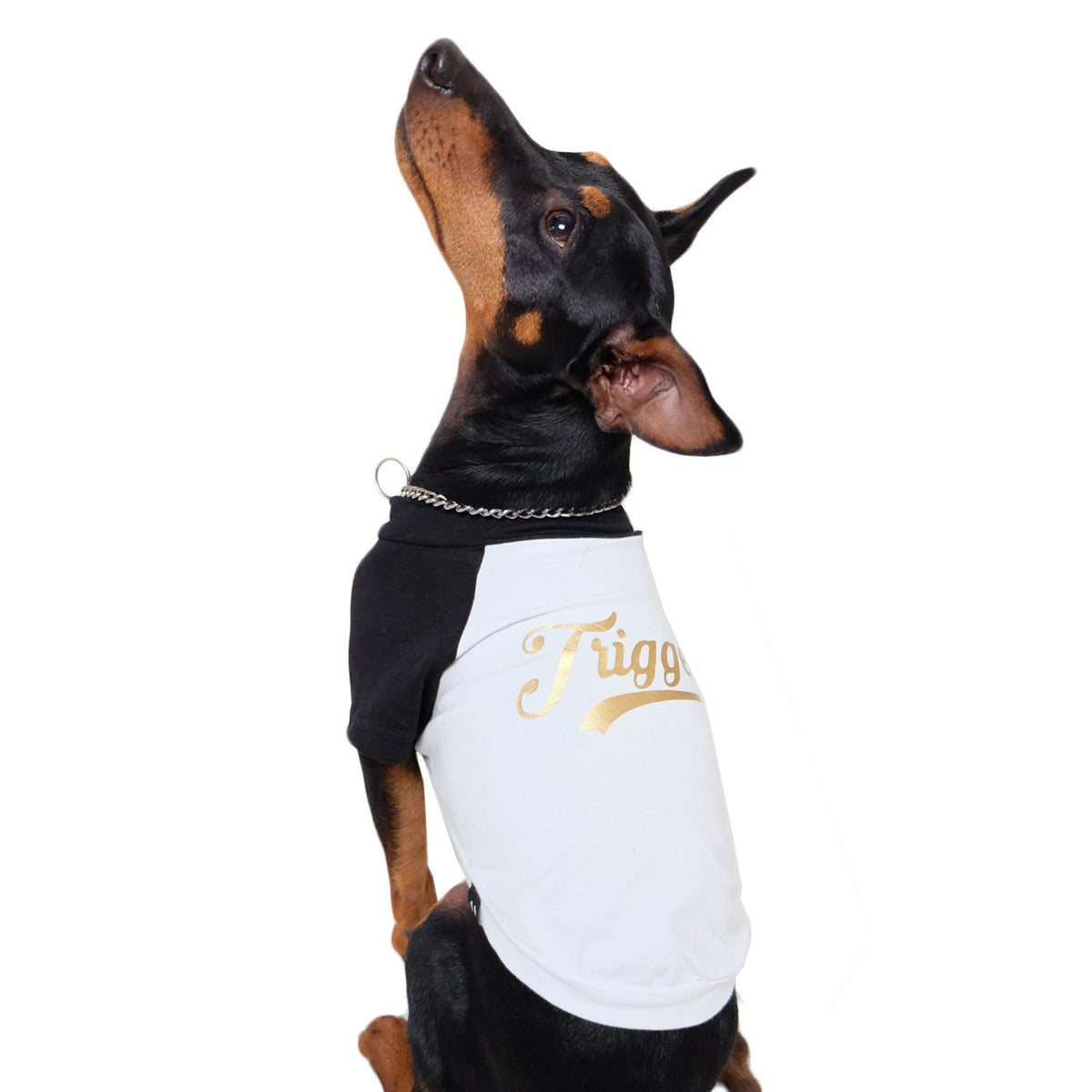 Personalised dog tee,Personalised Raglan Dog Tee, customised dog tee, dog tee, dog gift, pethaus, english toy terrier