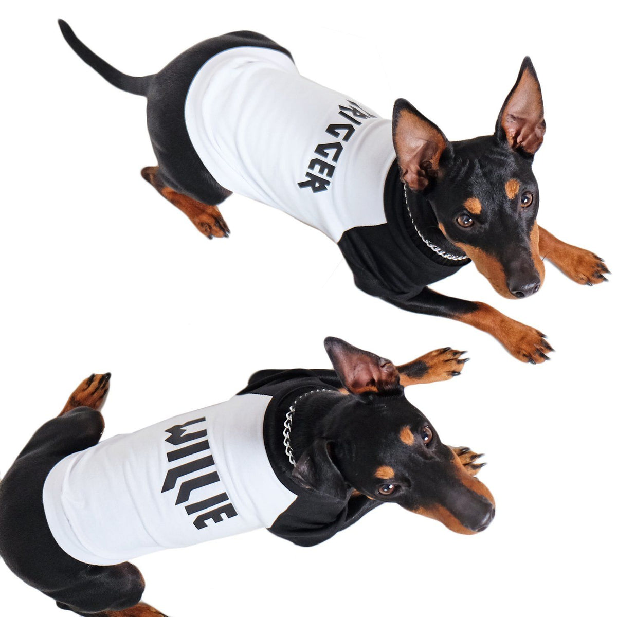 Personalised Raglan Dog Tee