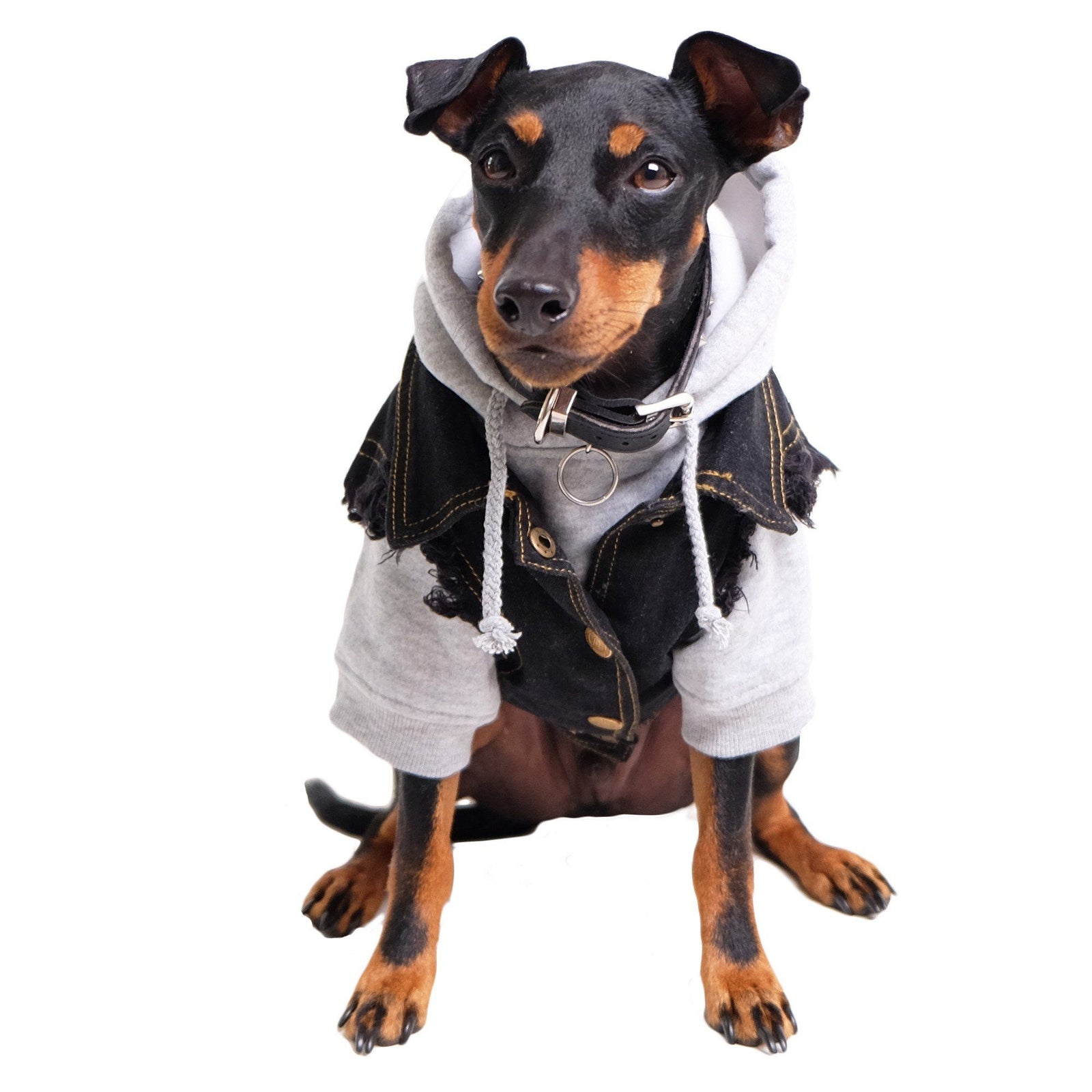 Black Denim Dog Vest, Denim Dog Jacket