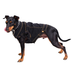 Cool denim dog clothing
