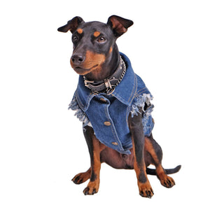 Denim dog vest , denim dog jacket, Pethaus, dog denim, Dog coat, Pethaus, Dog jacket, Australia dog coat