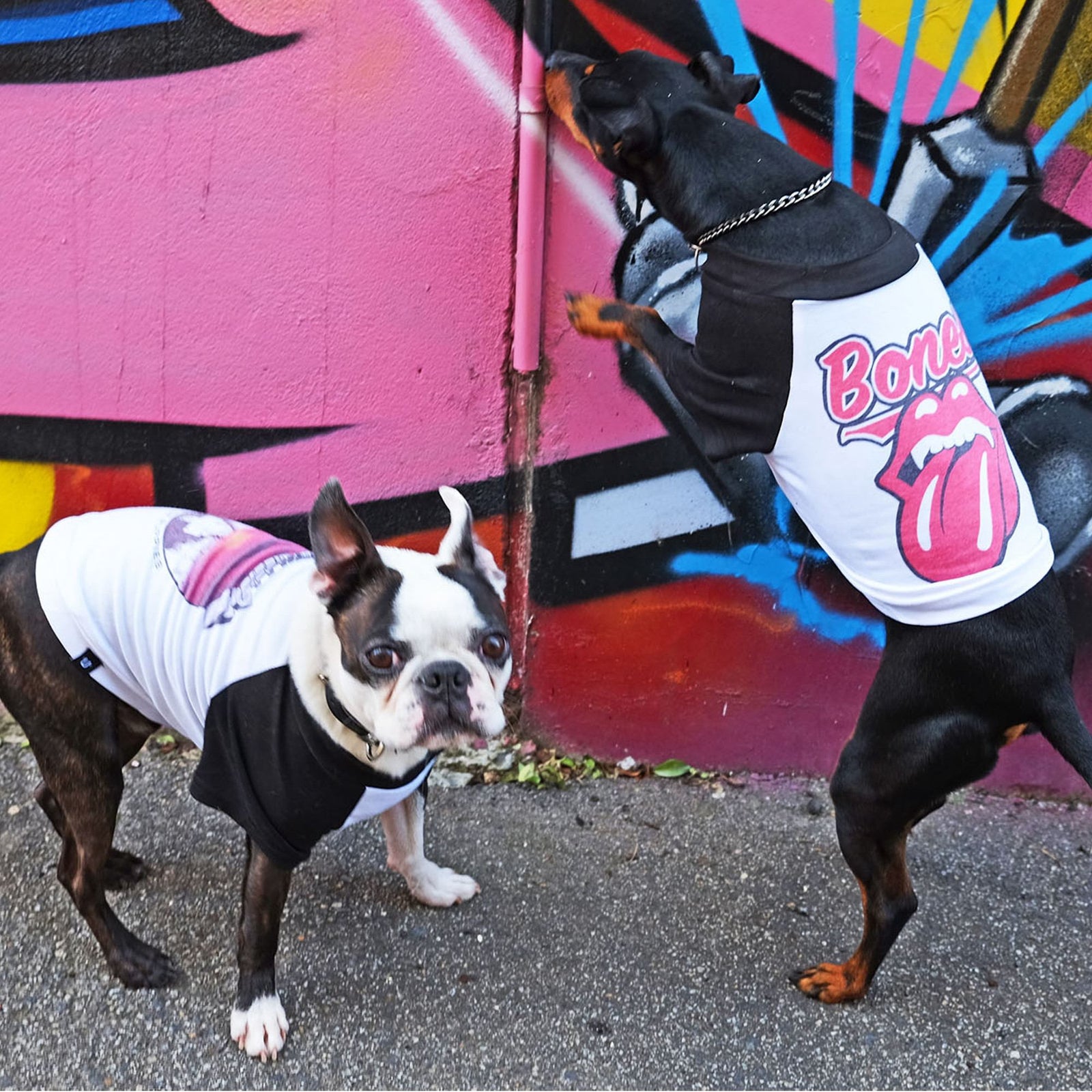 Double Trouble - Raglan Gift Set