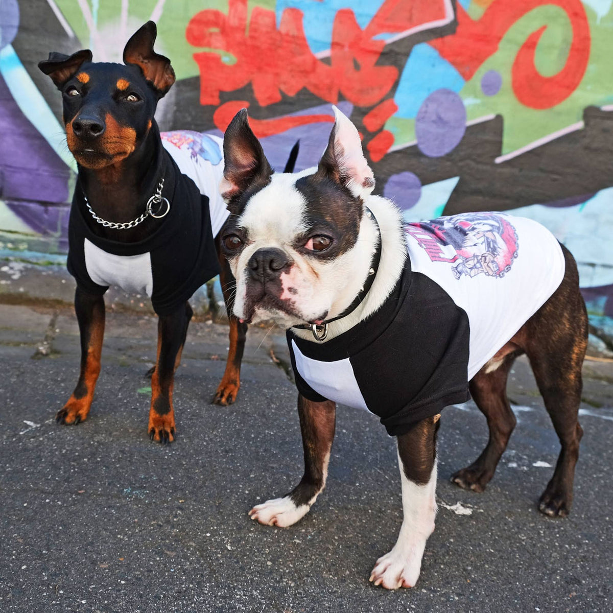 Double Trouble - Raglan Gift Set