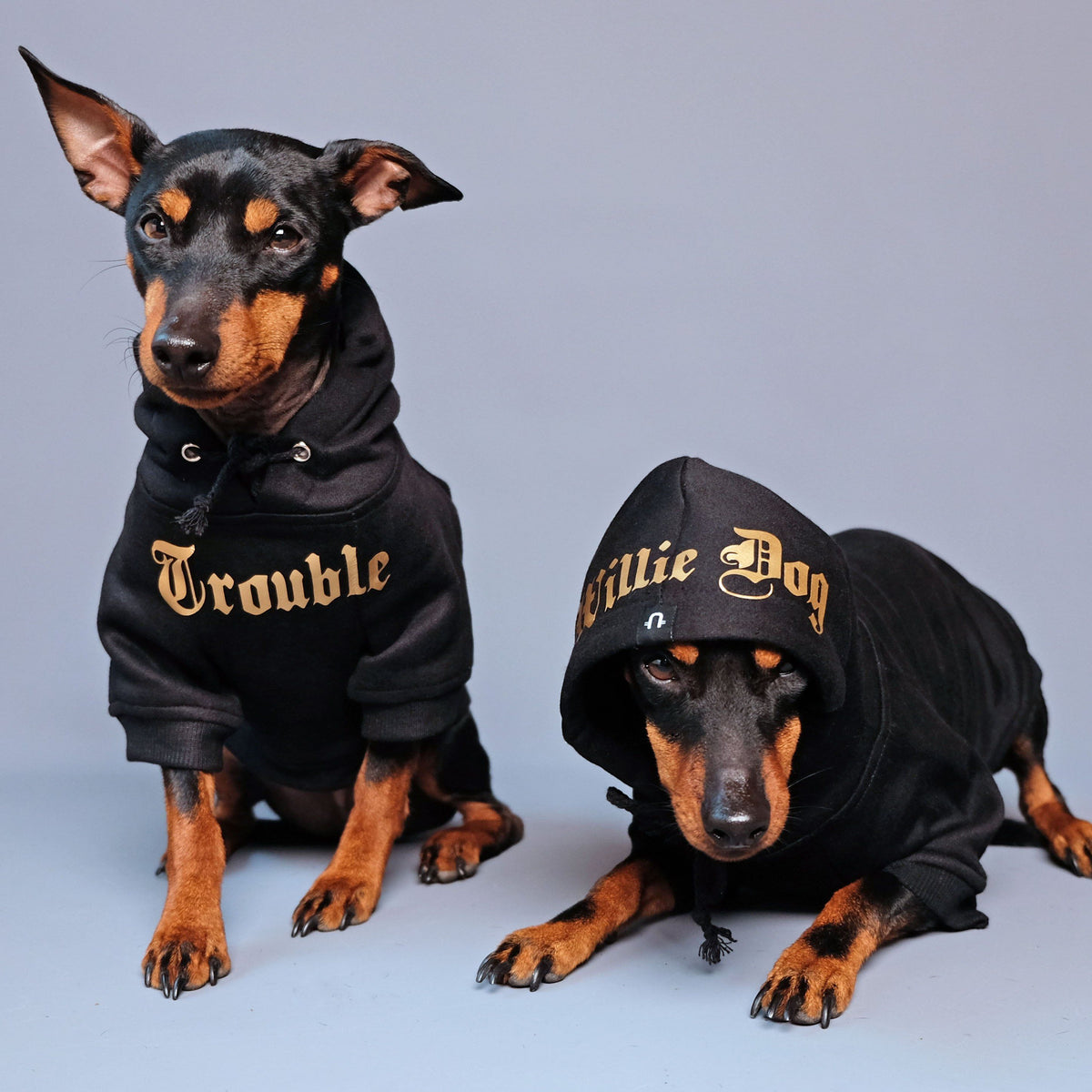 Dog hoodie, dog sweatshirt, dog coat, Personalised dog hoodie, Personalised dog sweatshirt, Black dog hoodie,Gangsta Yapper, Pethaus