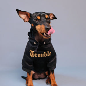 Dog hoodie, dog sweatshirt, dog coat, Personalised dog hoodie, Personalised dog sweatshirt, Black dog hoodie,Gangsta Yapper, Pethaus