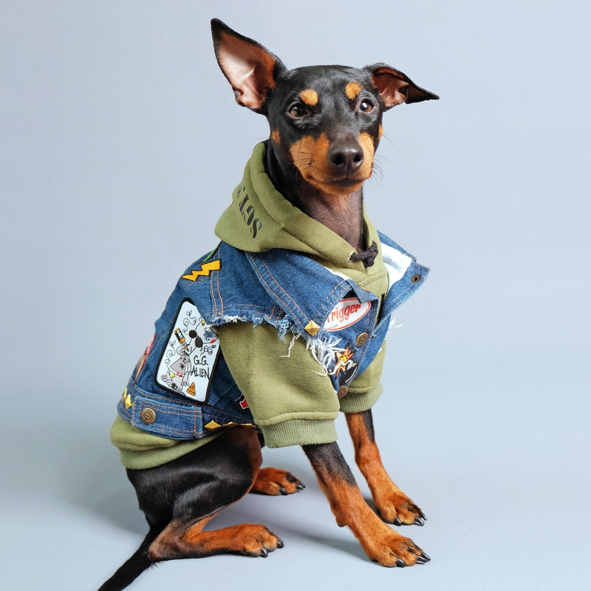 personalised dog hoodie, army dog hoodie, dog hoodie australia, green dog hoodie, custom dog hoodie