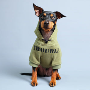 personalised dog hoodie, army dog hoodie, dog hoodie australia, green dog hoodie, custom dog hoodie