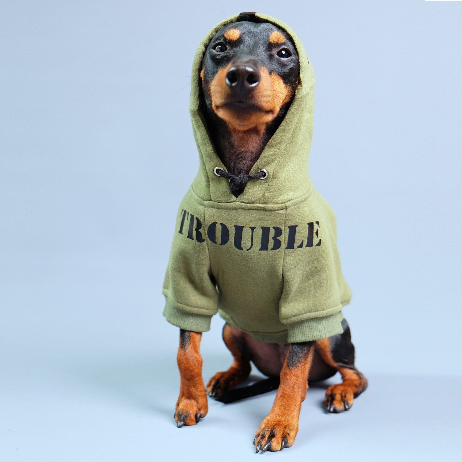 personalised dog hoodie, army dog hoodie, dog hoodie australia, green dog hoodie