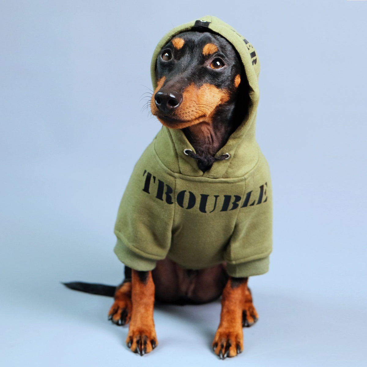 personalised dog hoodie, army dog hoodie, dog hoodie australia, green dog hoodie